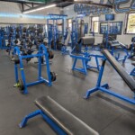 Bi's, tri's and shoulders.