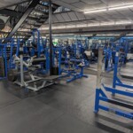 Multiple calf machines, squat racks, and a hip thrust machine