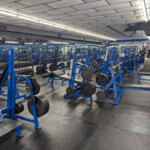 Multiple Benches, cable crossover, pec decs and dumbbells for a solid upper body day.