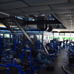 Squat for days. Racks, Hack Squat, Tiger Squat, Lying Leg Press, V-squat, glutes, extensions, curls, adduction/abduction.